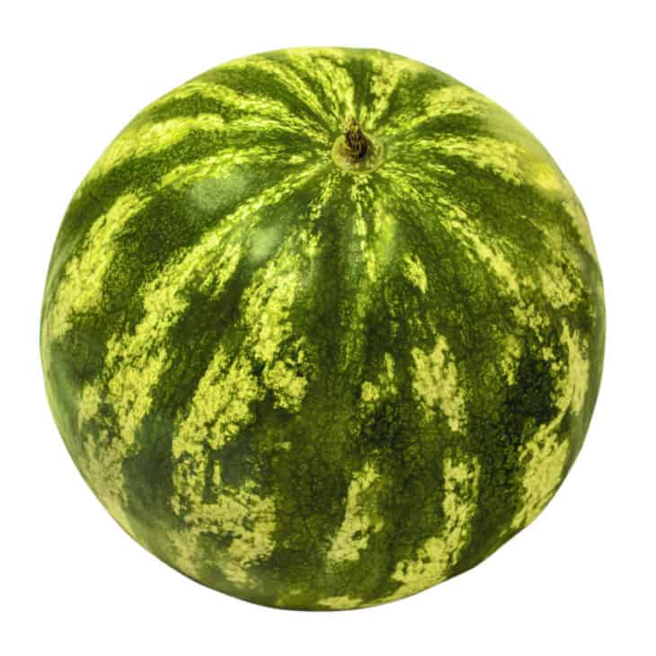 3762341 isolated watermelon