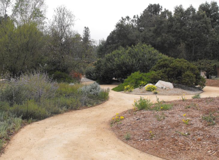 California Botanical Garden