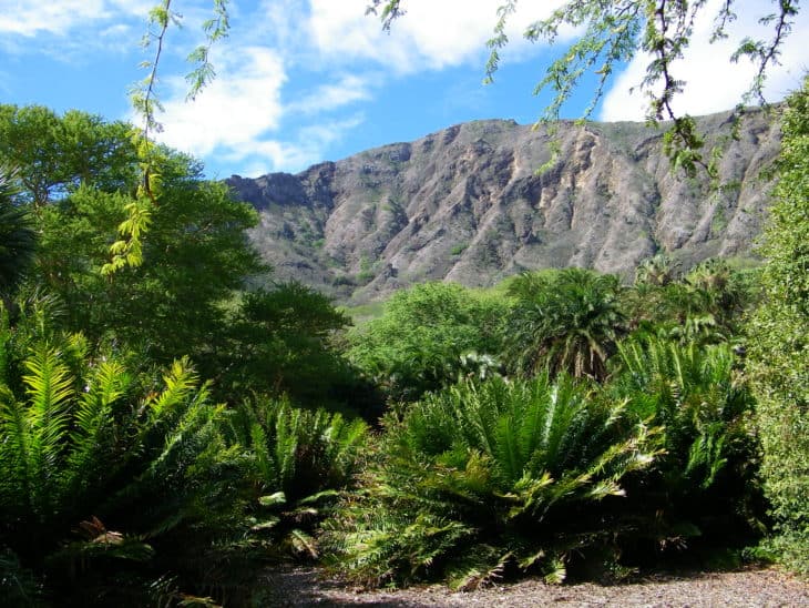 Koko Crater Botanical Gardens