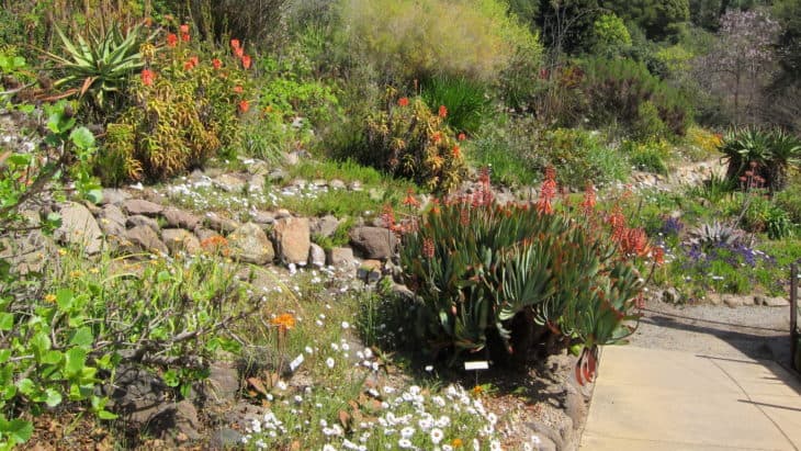 University of California Botanic Garden at Berkeley