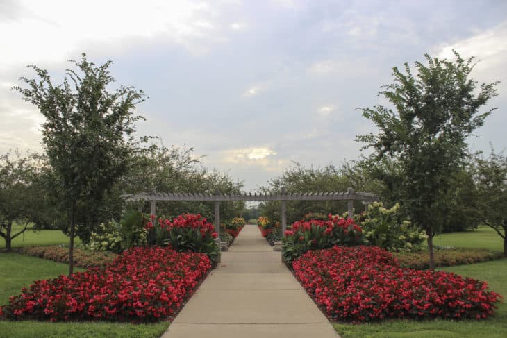 University of Illinois Arboretum.